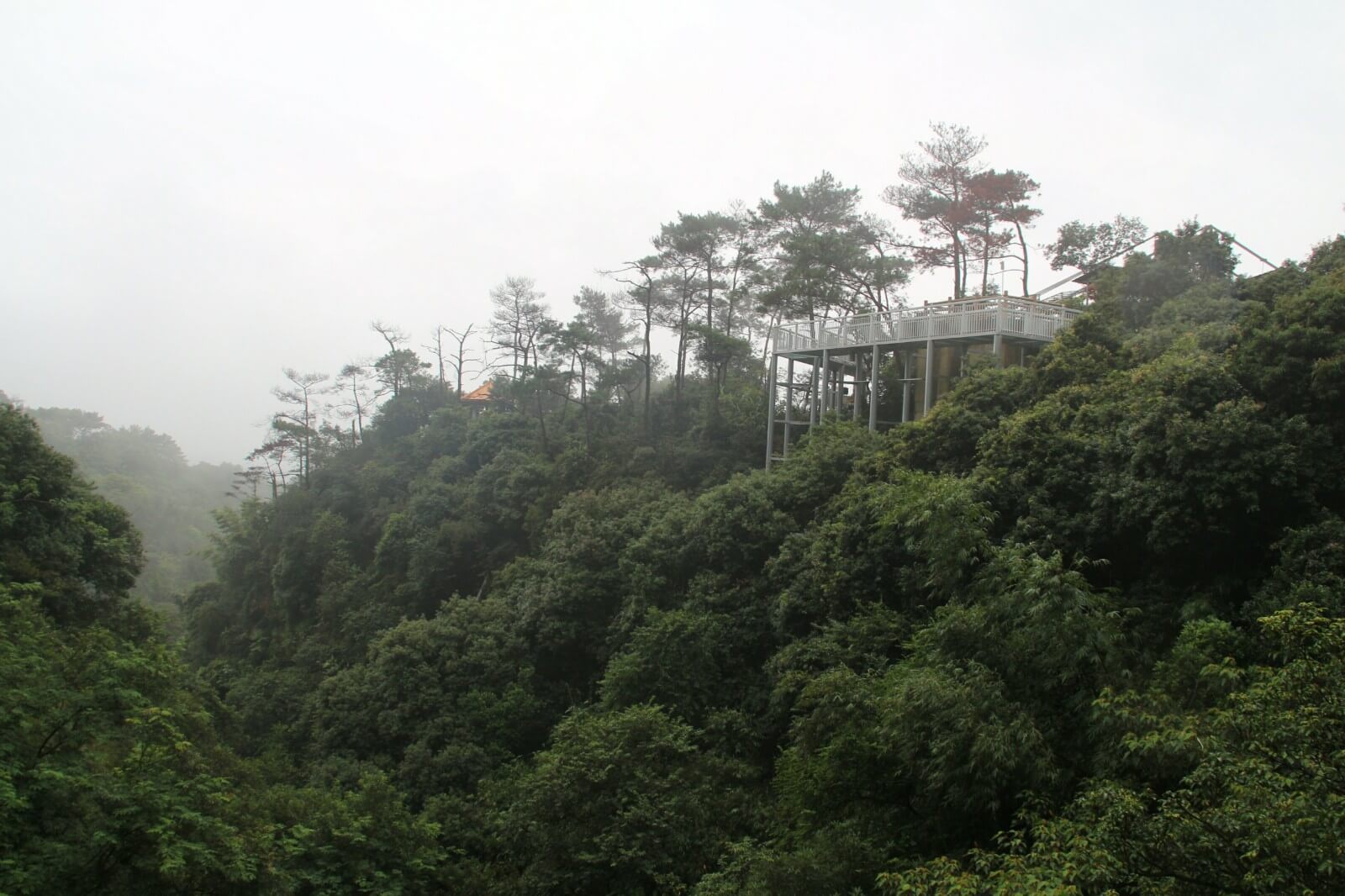 IMG_5112.jpg IMG_5112.jpg