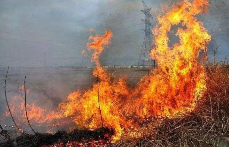 輸電線路防山火監(jiān)測 輸電線路防山火監(jiān)測